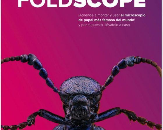 Taller de Microscopio