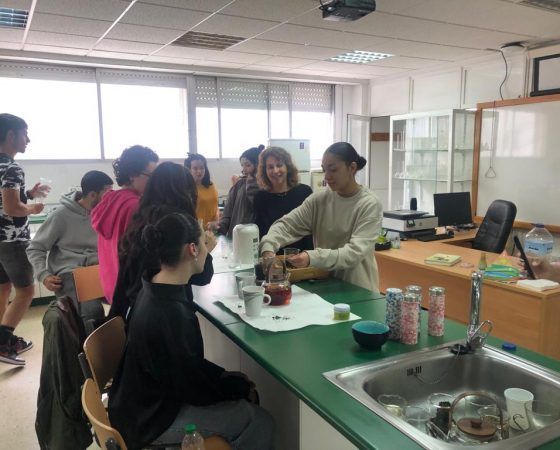 Tea Testing